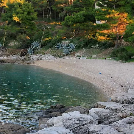 Appartamento With A Parking Space - 8938 *
